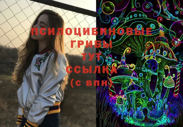 сатива Пересвет