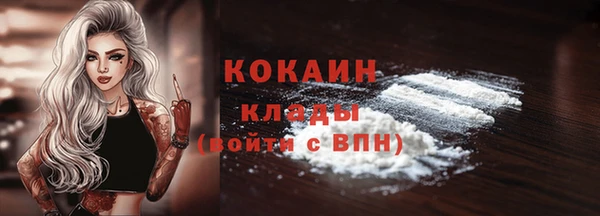 сатива Пересвет