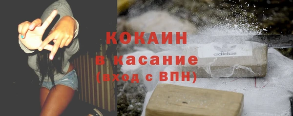 сатива Пересвет