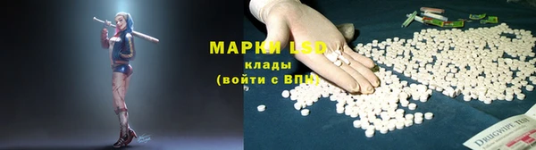 сатива Пересвет