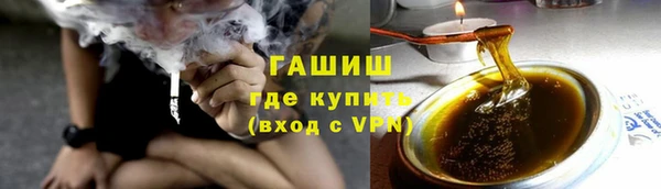 сатива Пересвет