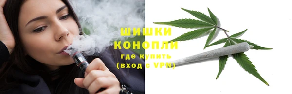 сатива Пересвет