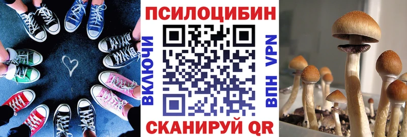 где продают   Похвистнево  Псилоцибиновые грибы прущие грибы 