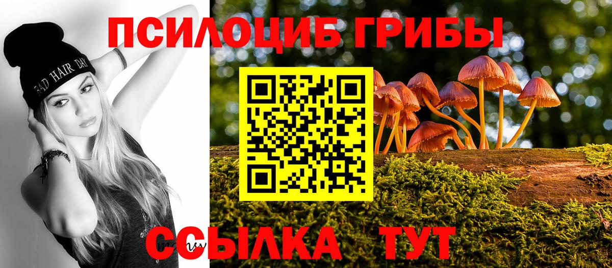 Псилоцибиновые грибы Psilocybe Похвистнево