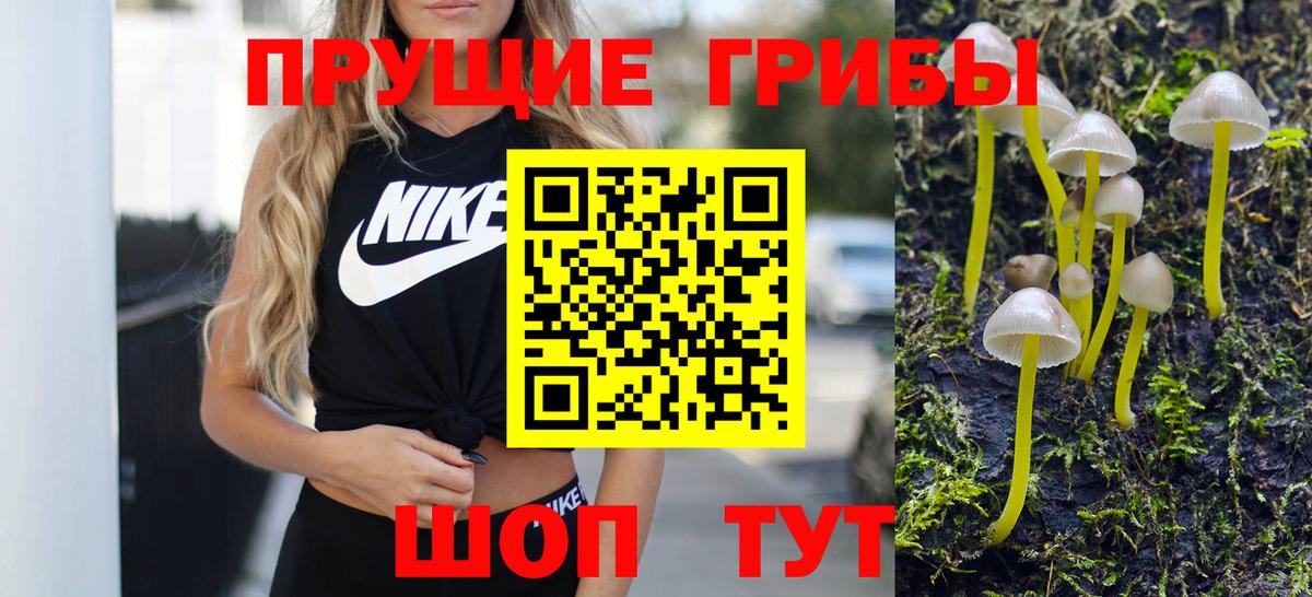 Галлюциногенные грибы прущие грибы  Вход с VPN  Псилоцибиновые грибы Psilocybe  Похвистнево 